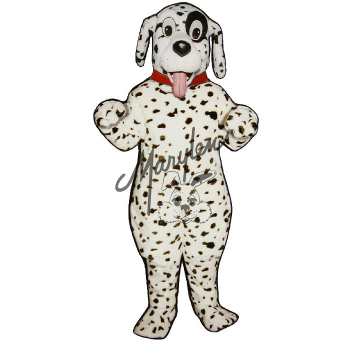 Cute Dalmatian With Collar