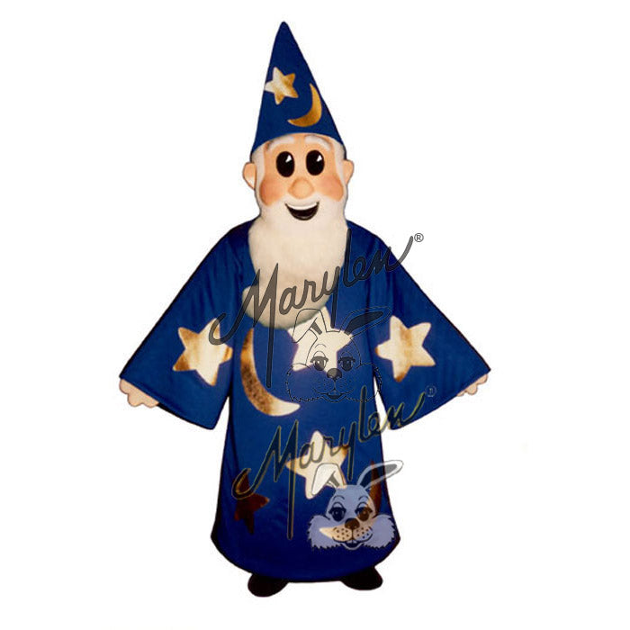 Wizard Costume