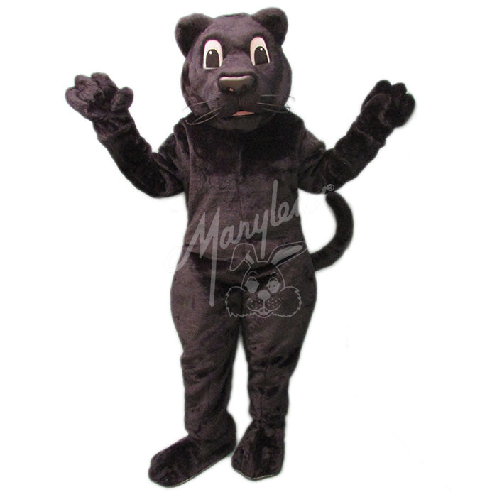 Black Panther With Black Eyes