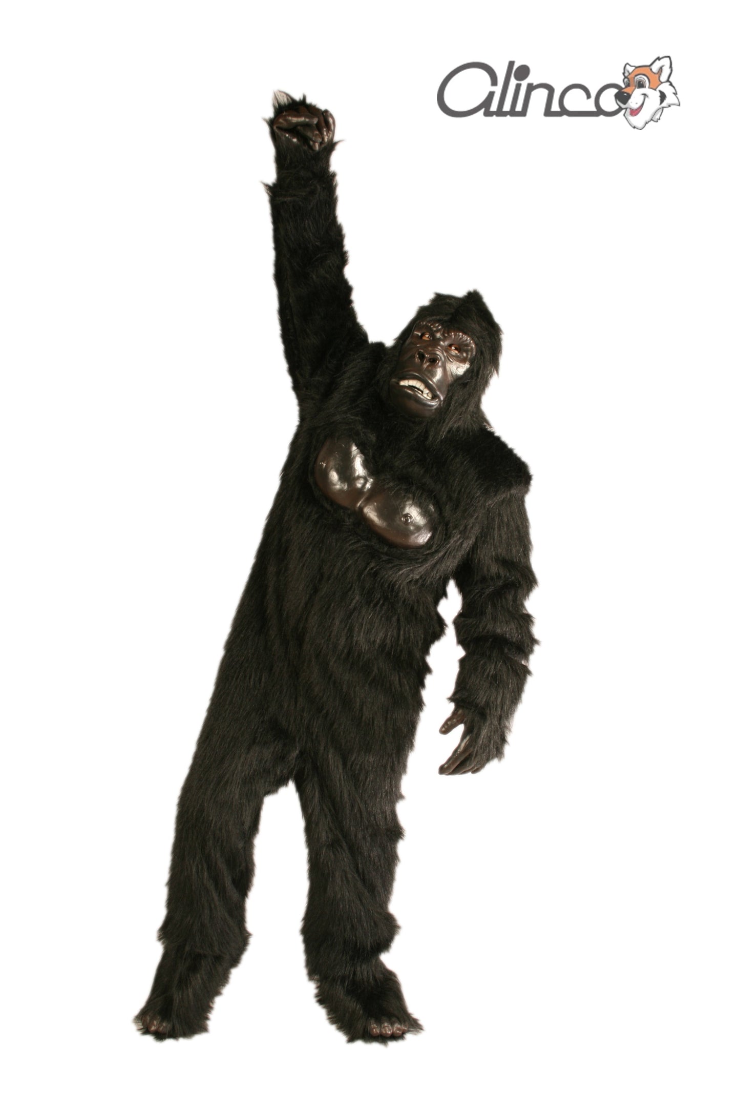 Economy Gorilla - ECON