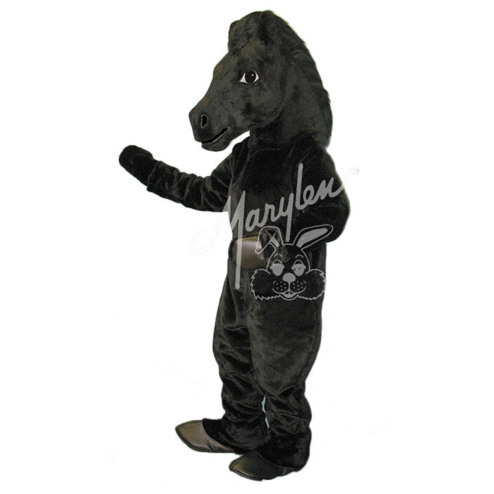 Marylen's Black Mustang- M991