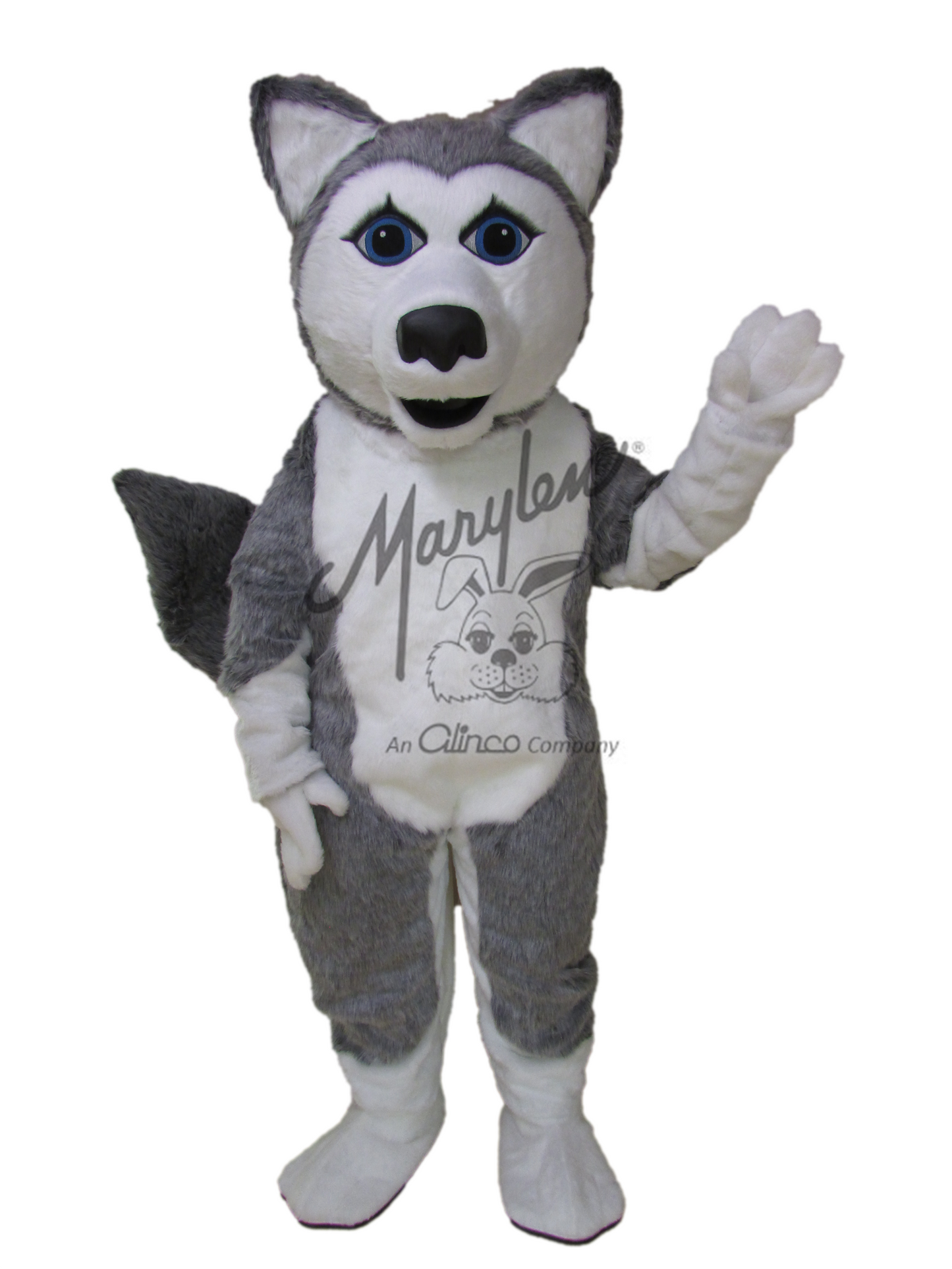 Marylen's Girl Wolf - M977
