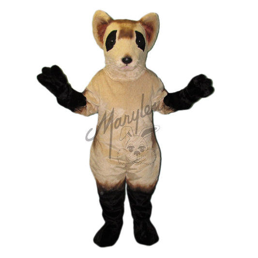 Black Footed Ferret