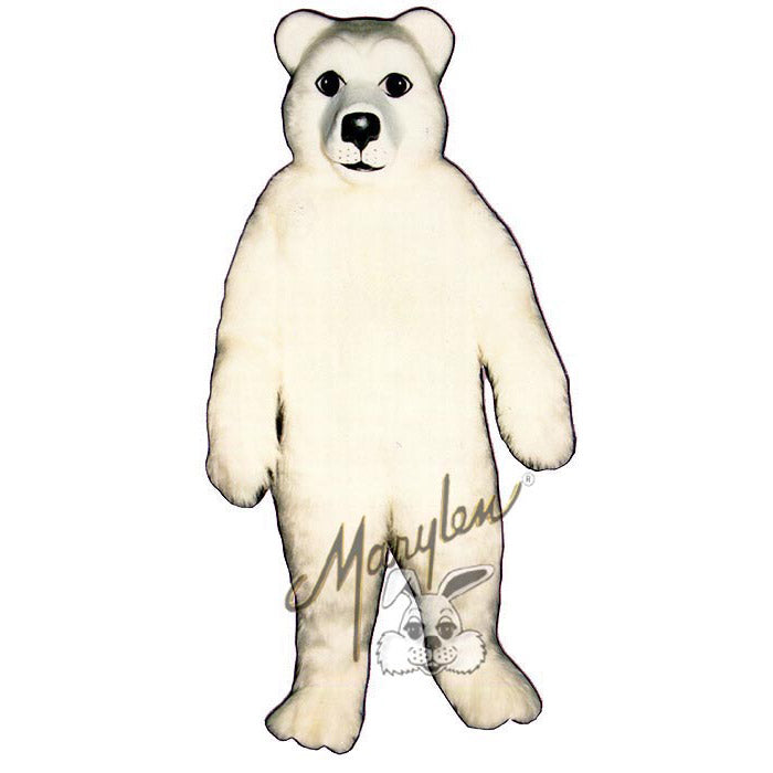 Polar Bear