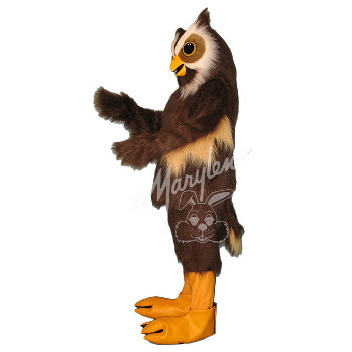 Realistic Owl