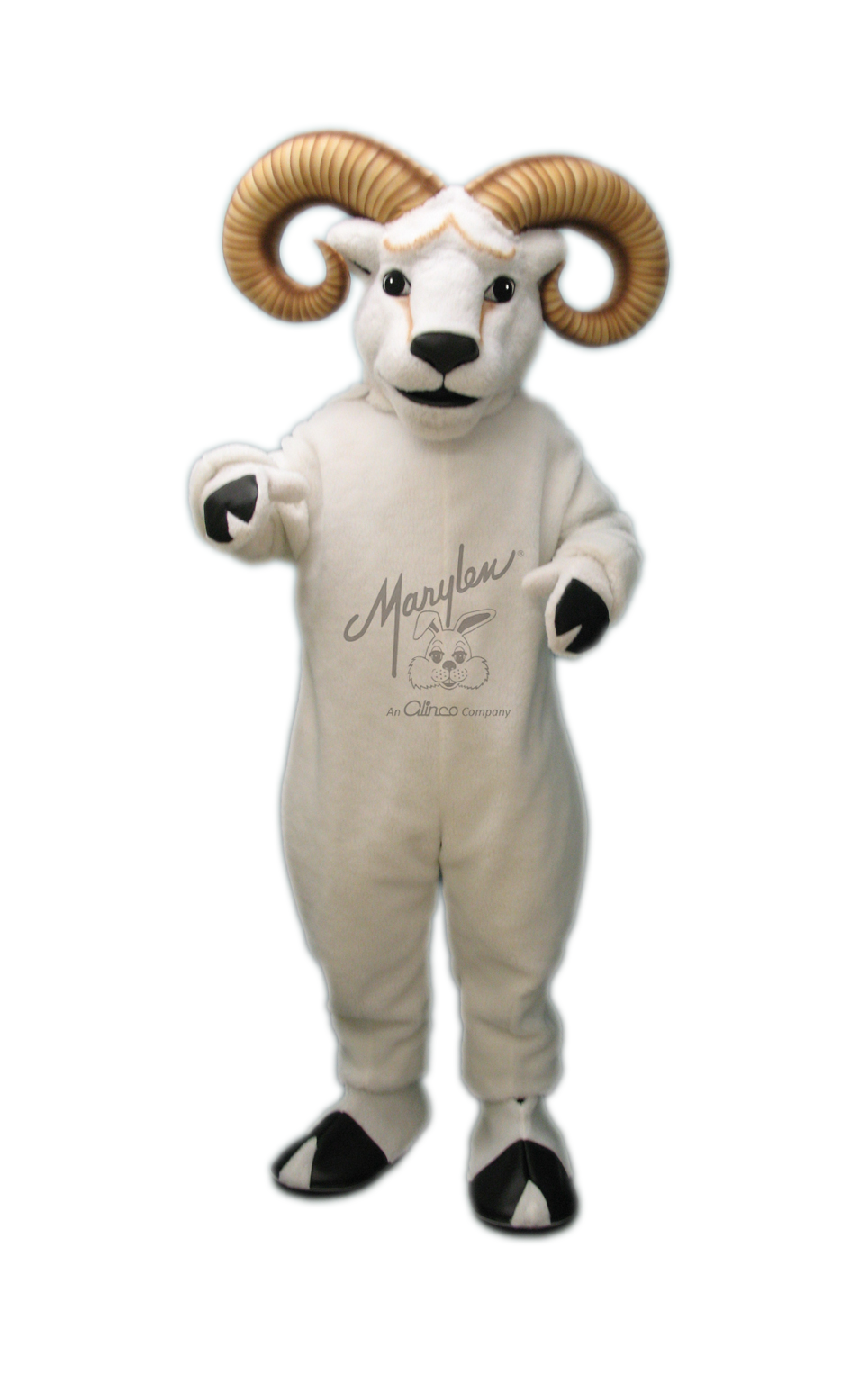 Marylen's Ram - M955