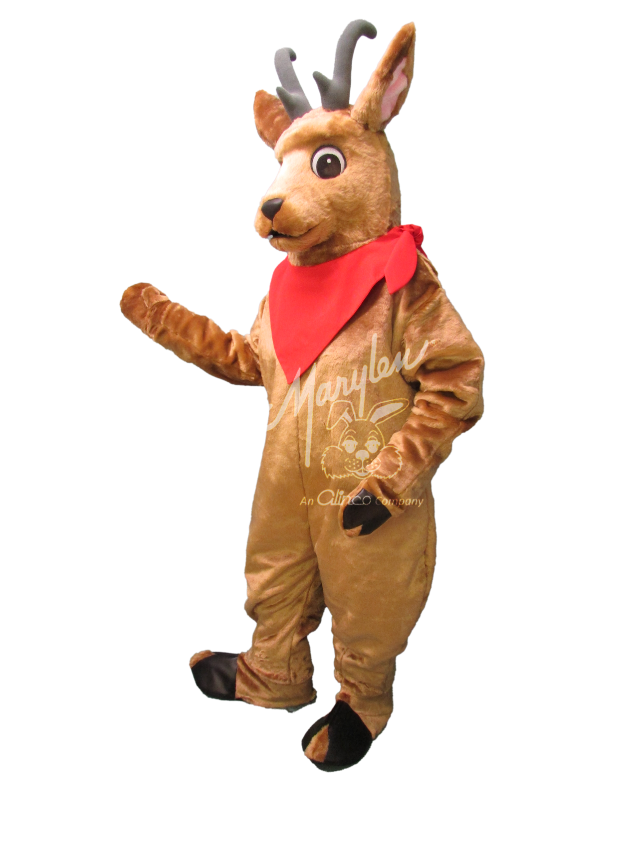 Marylen's Andy Antelope - M808