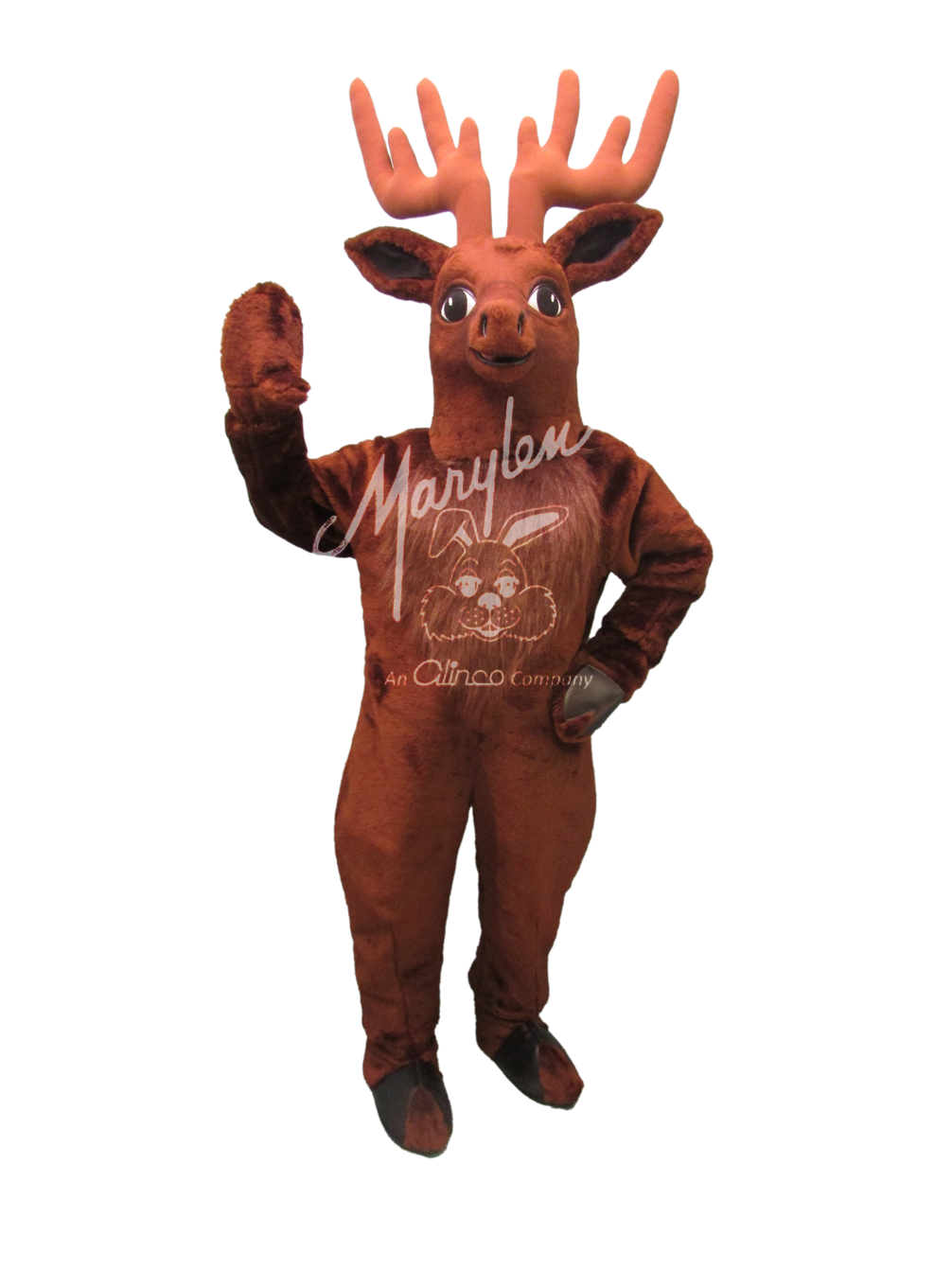 Marylen's Elk - M811