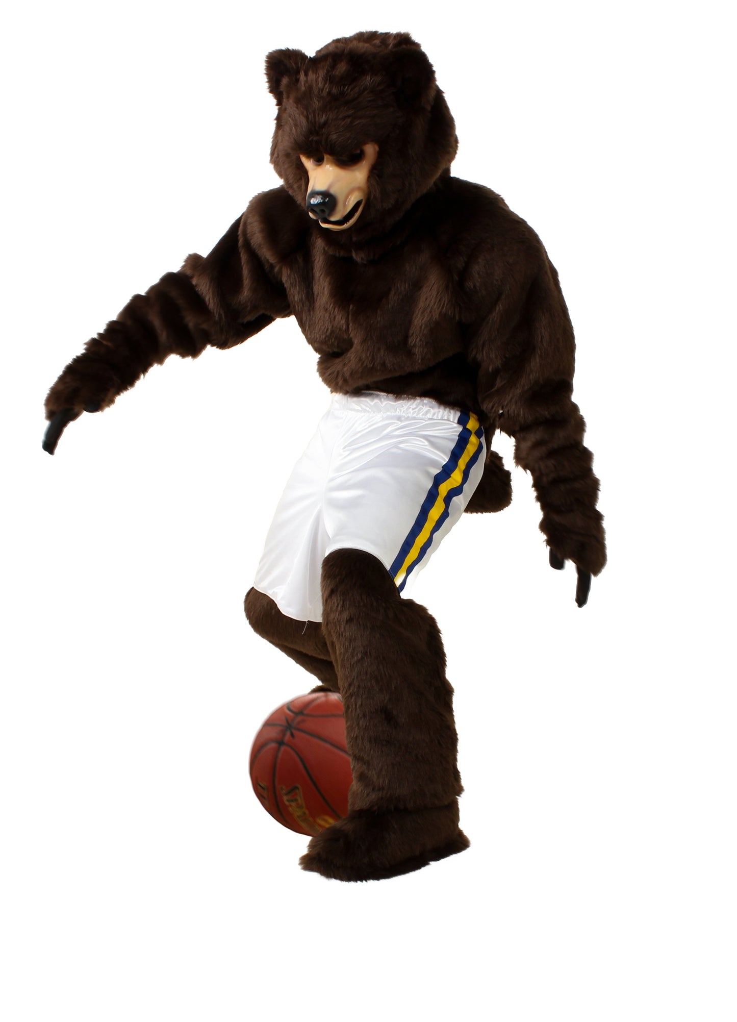 Pro-line Bear Mascot Costume - SKU 350