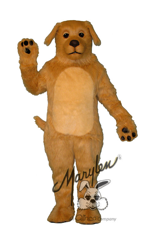 Marylen's Golden Retriever - M821