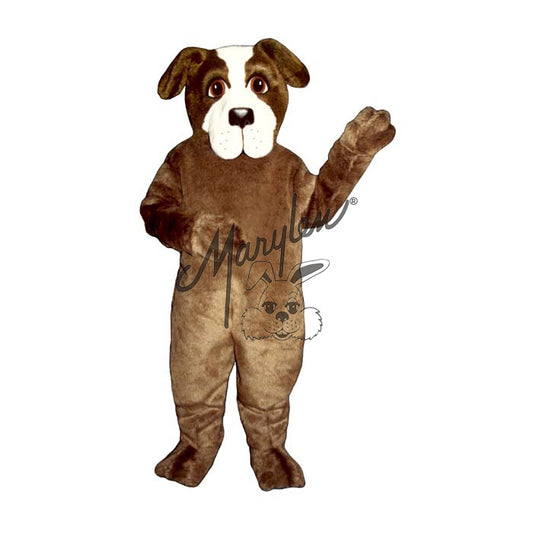 Saint Bernard