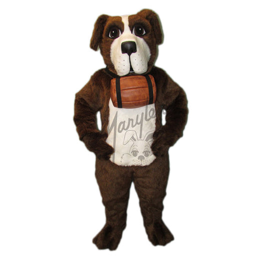 Saint Bernard With Barrel