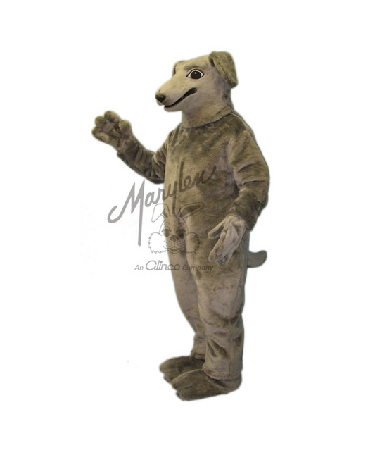 Marylen's Greyhound - M814G