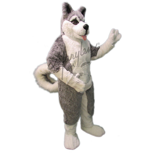 815 Husky Mascot Costume