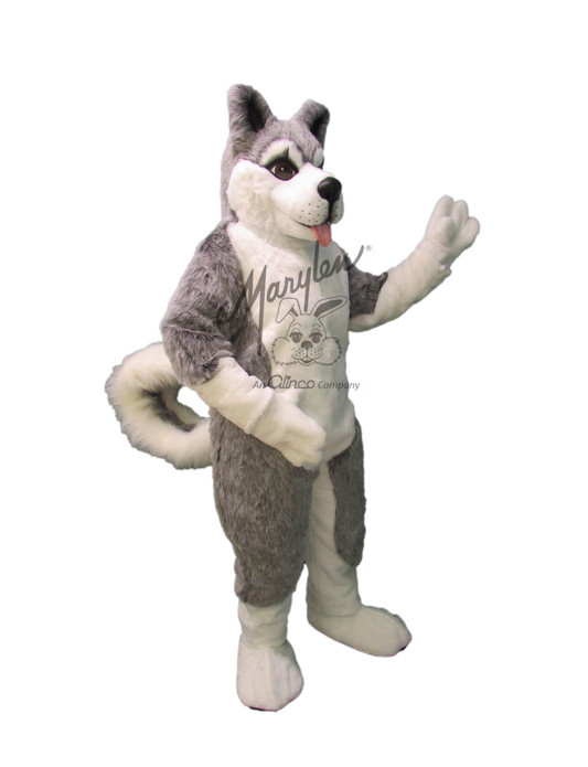 Marylen's Husky - M971