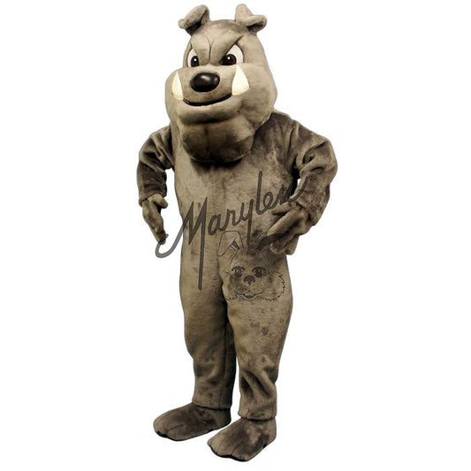 Buster Bulldog