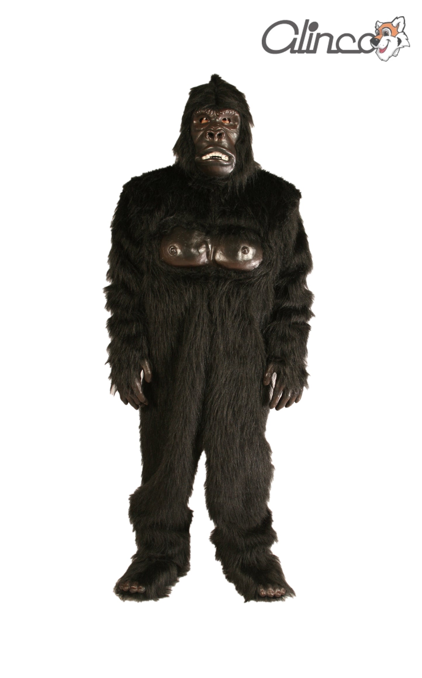 Economy Gorilla - ECON