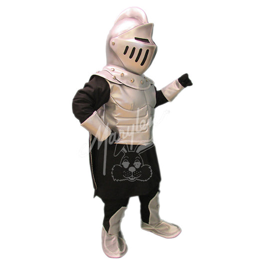 silver and black knight