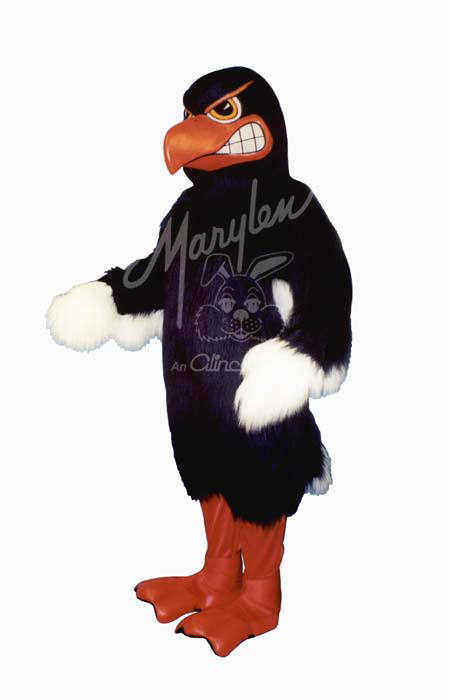 Marylen's Fighting Hawk - M961