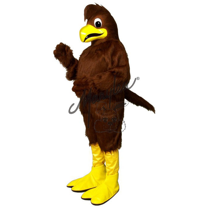 Marylen's Crested Hawk